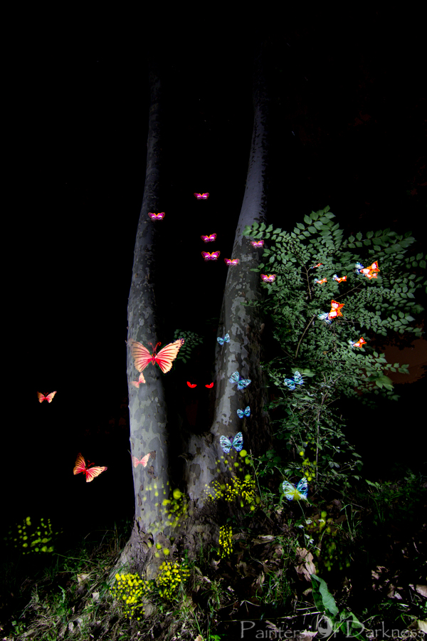 El Bosque de las Mariposas